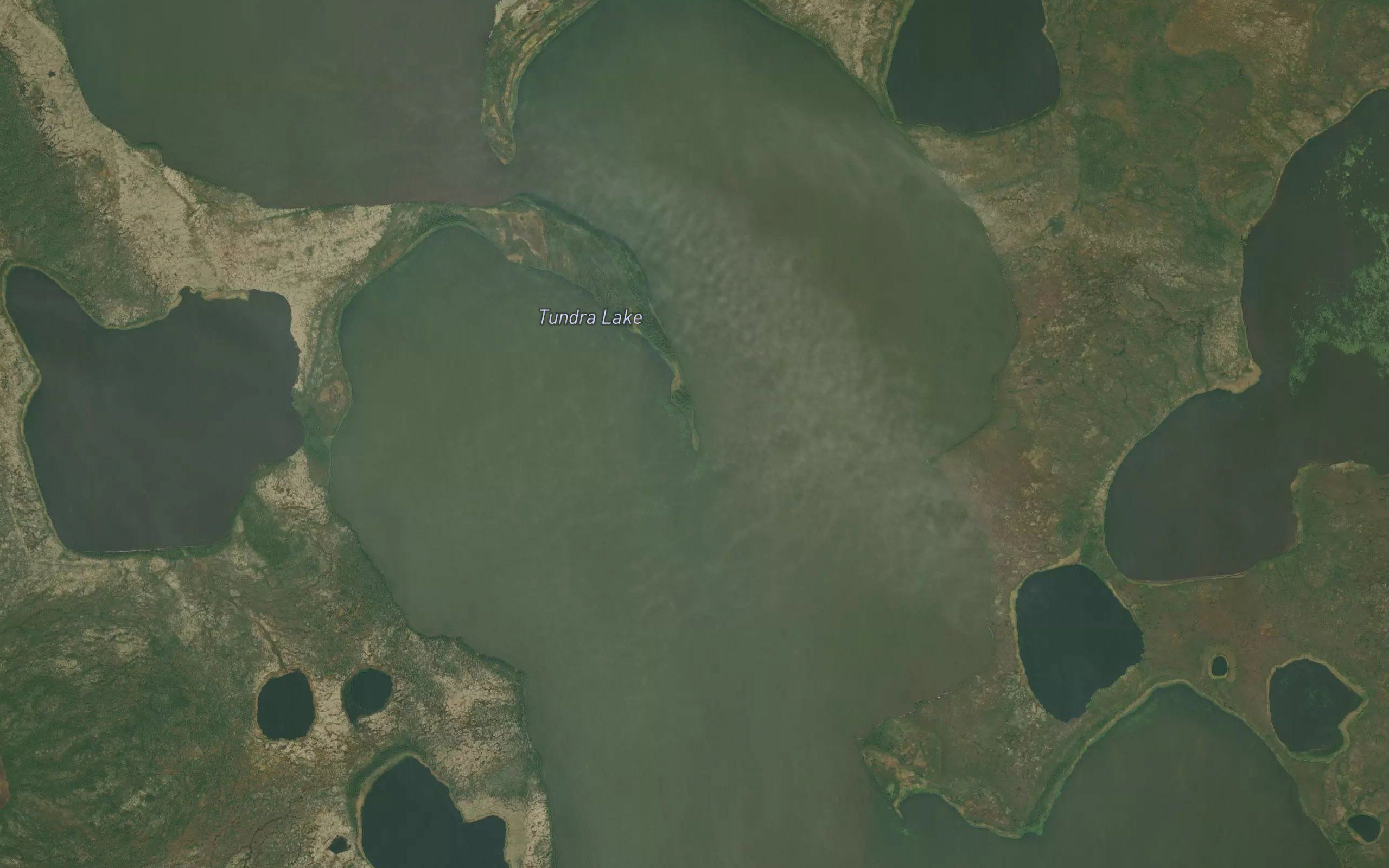Tundra Lake