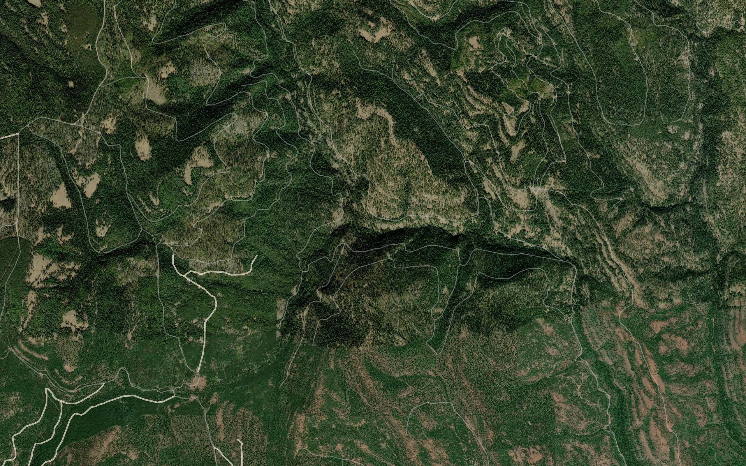 North Fork Wolf Creek