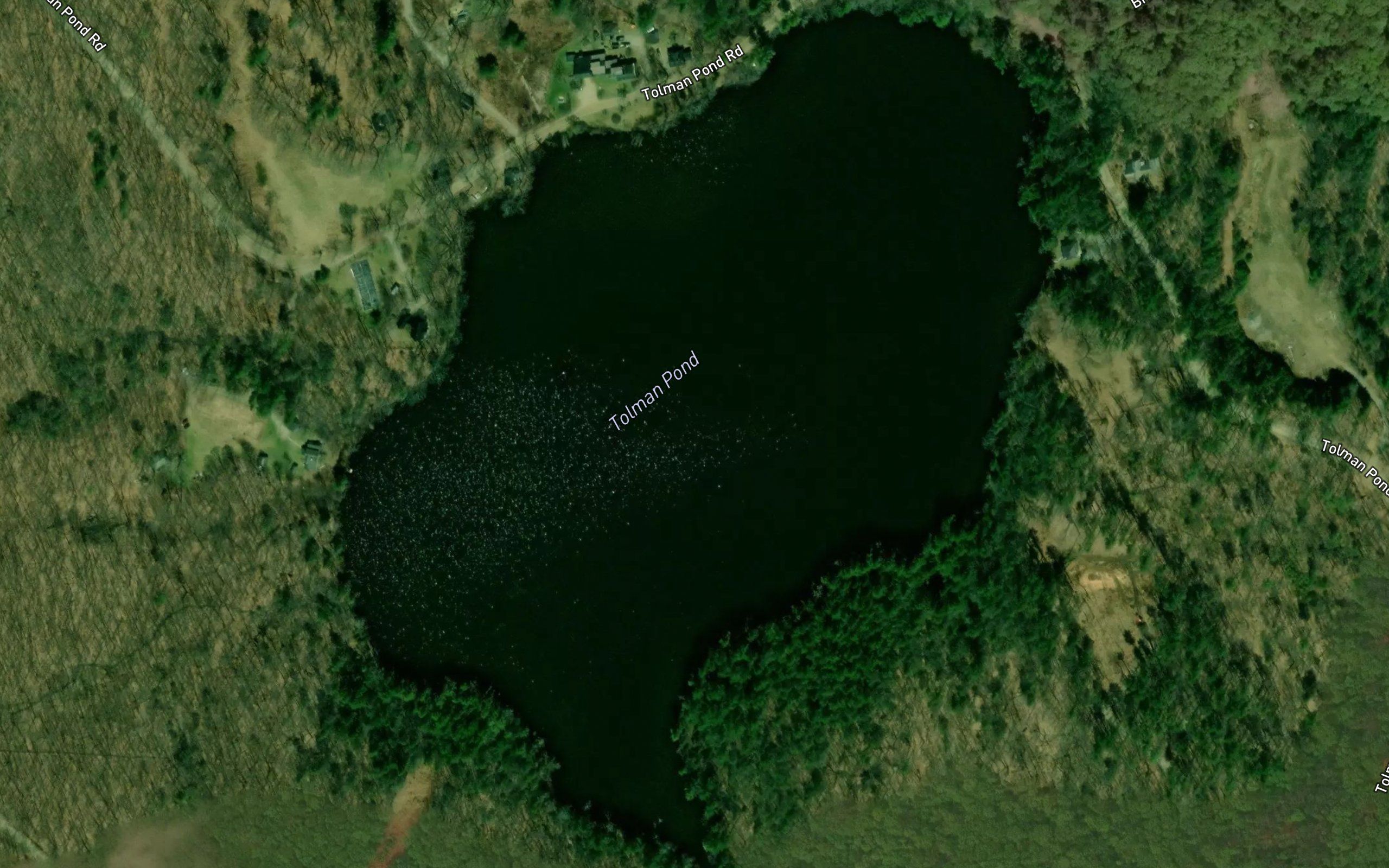 Tolman Pond