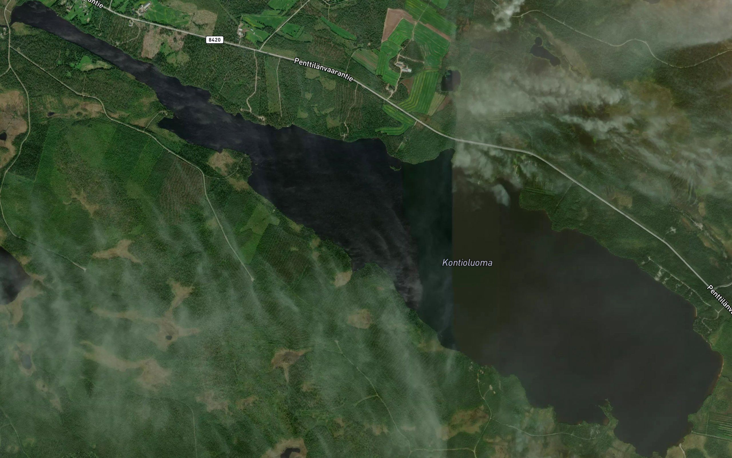 Kontioluoma