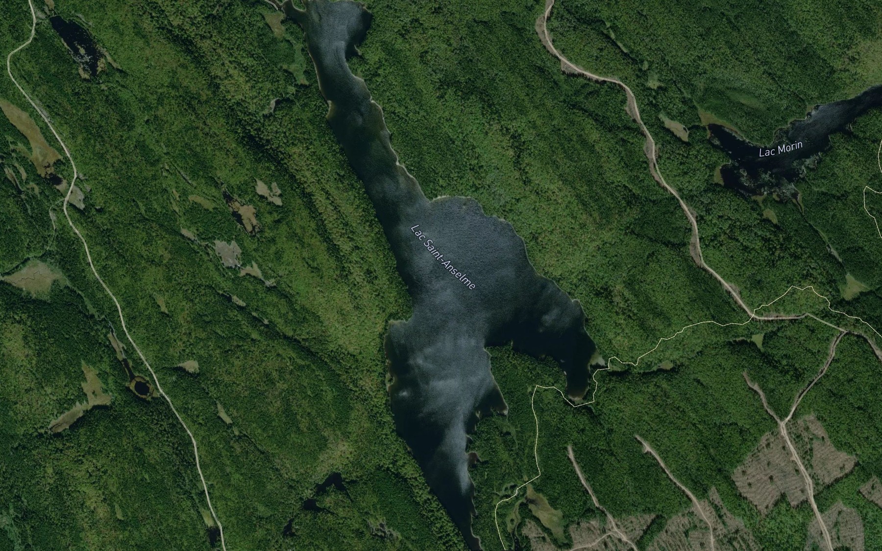 Satellite map of the Lac Saint-Anselme