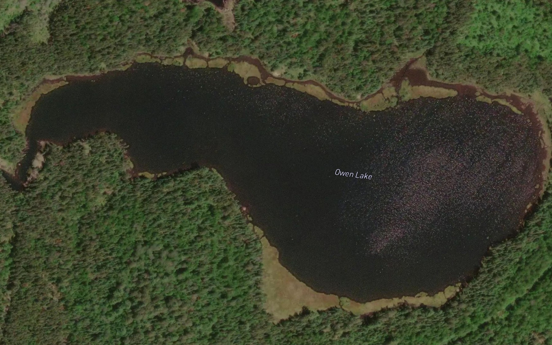Satellite map of the Owen Lake