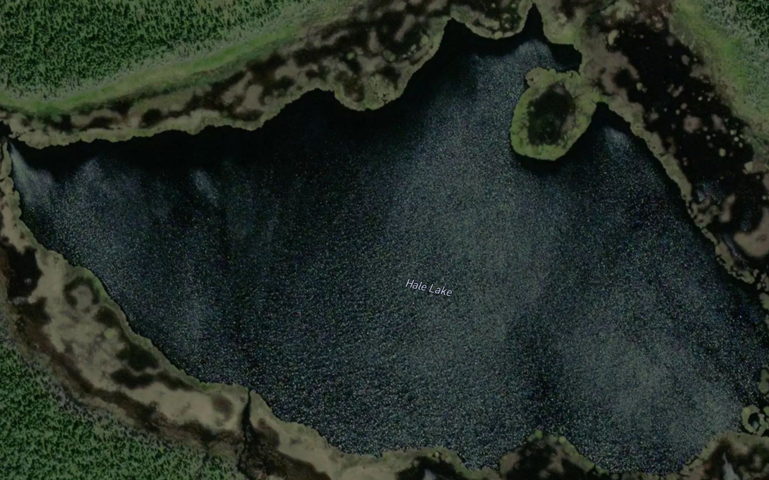 Hale Lake