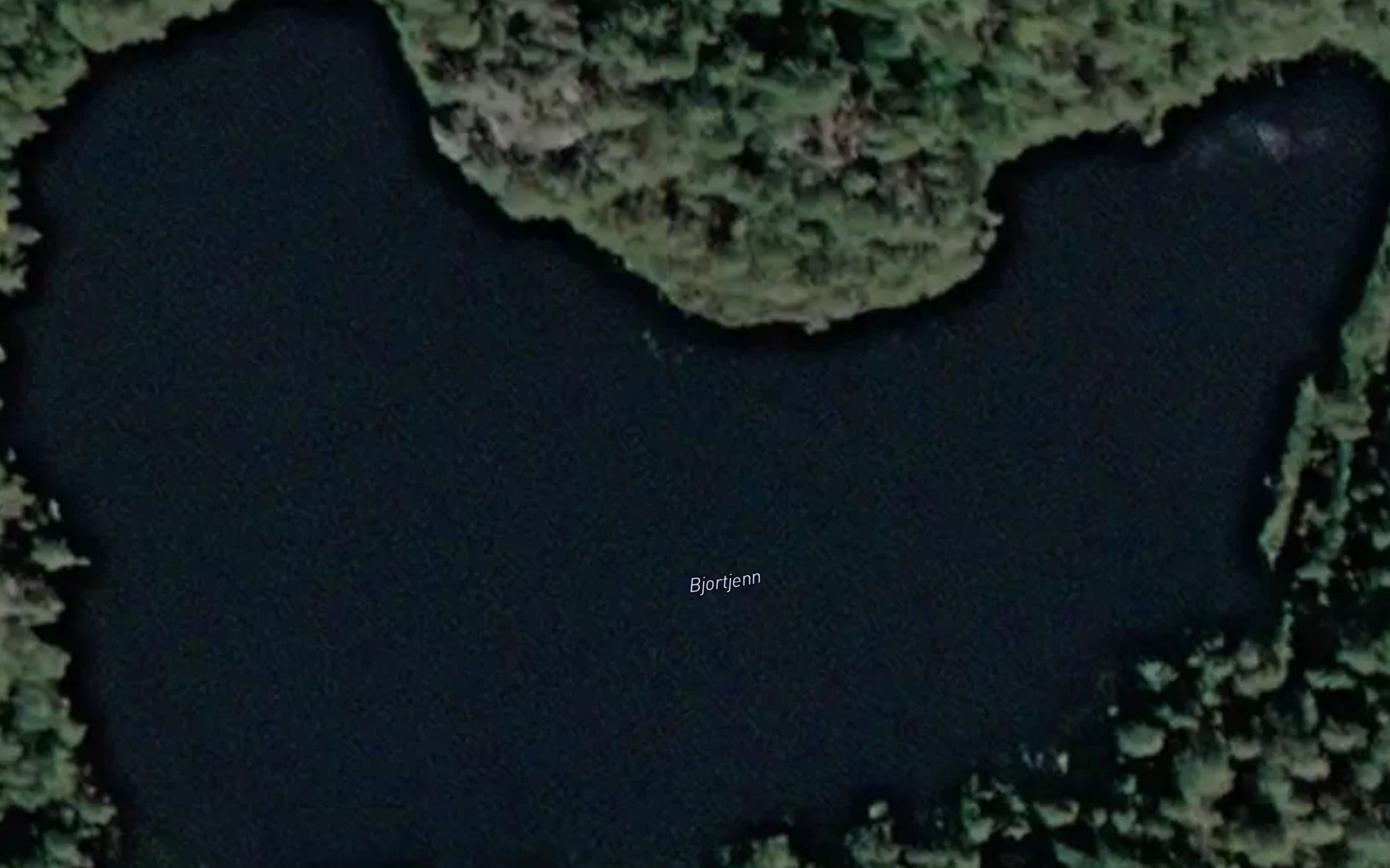 Bjortjern