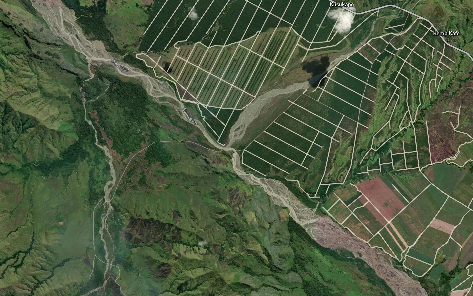 Satellite map of the Surinam River