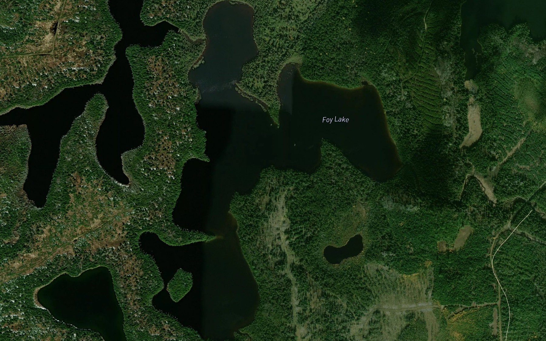 Satellite map of the Foy Lake