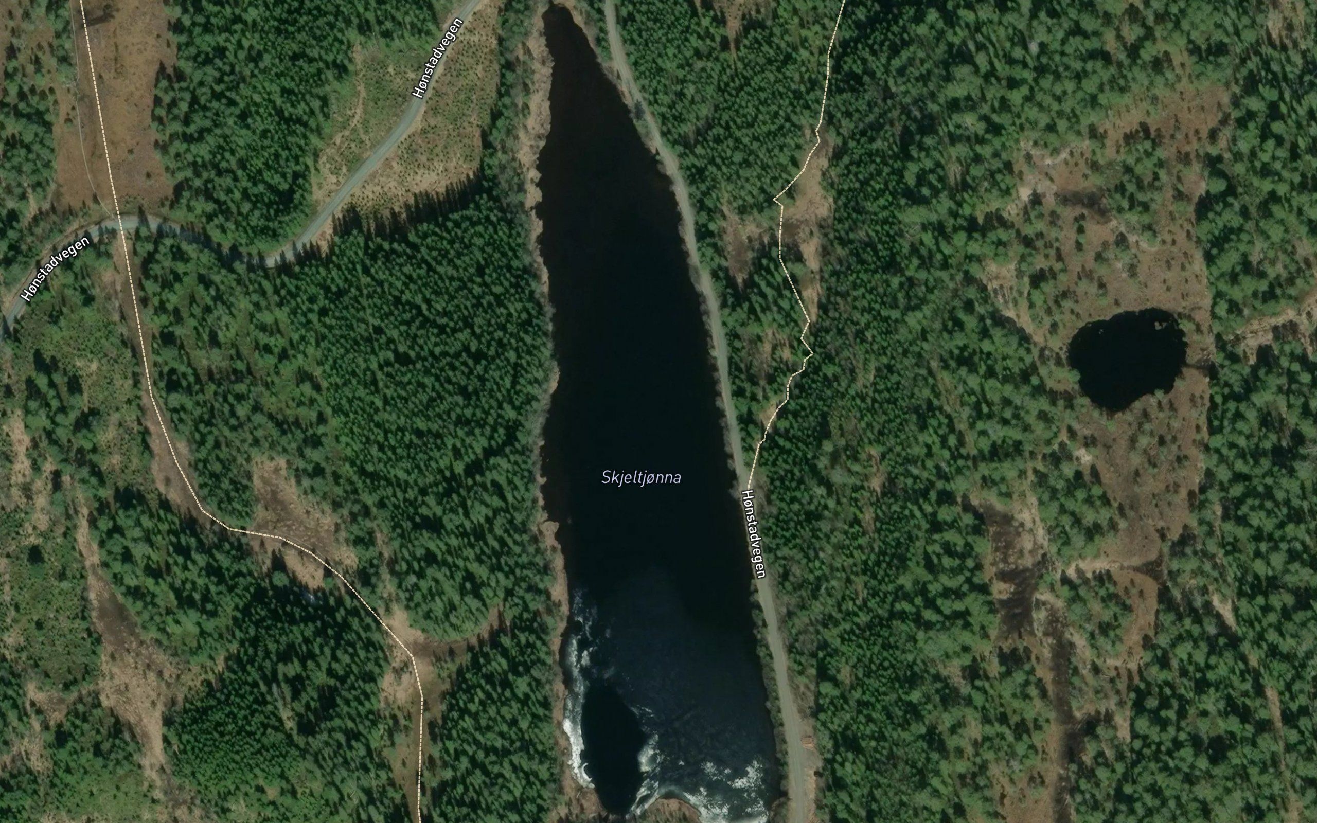 Skjeltjorna