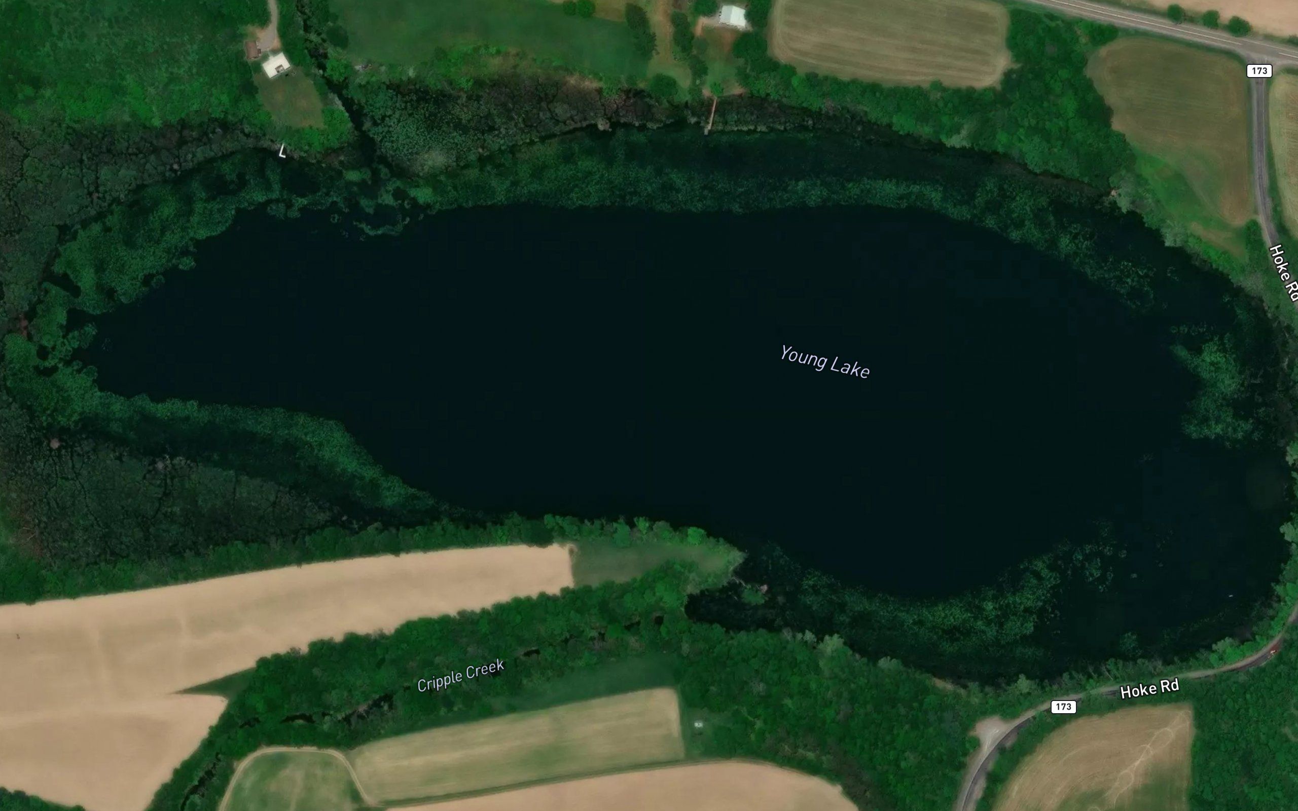 Young Lake