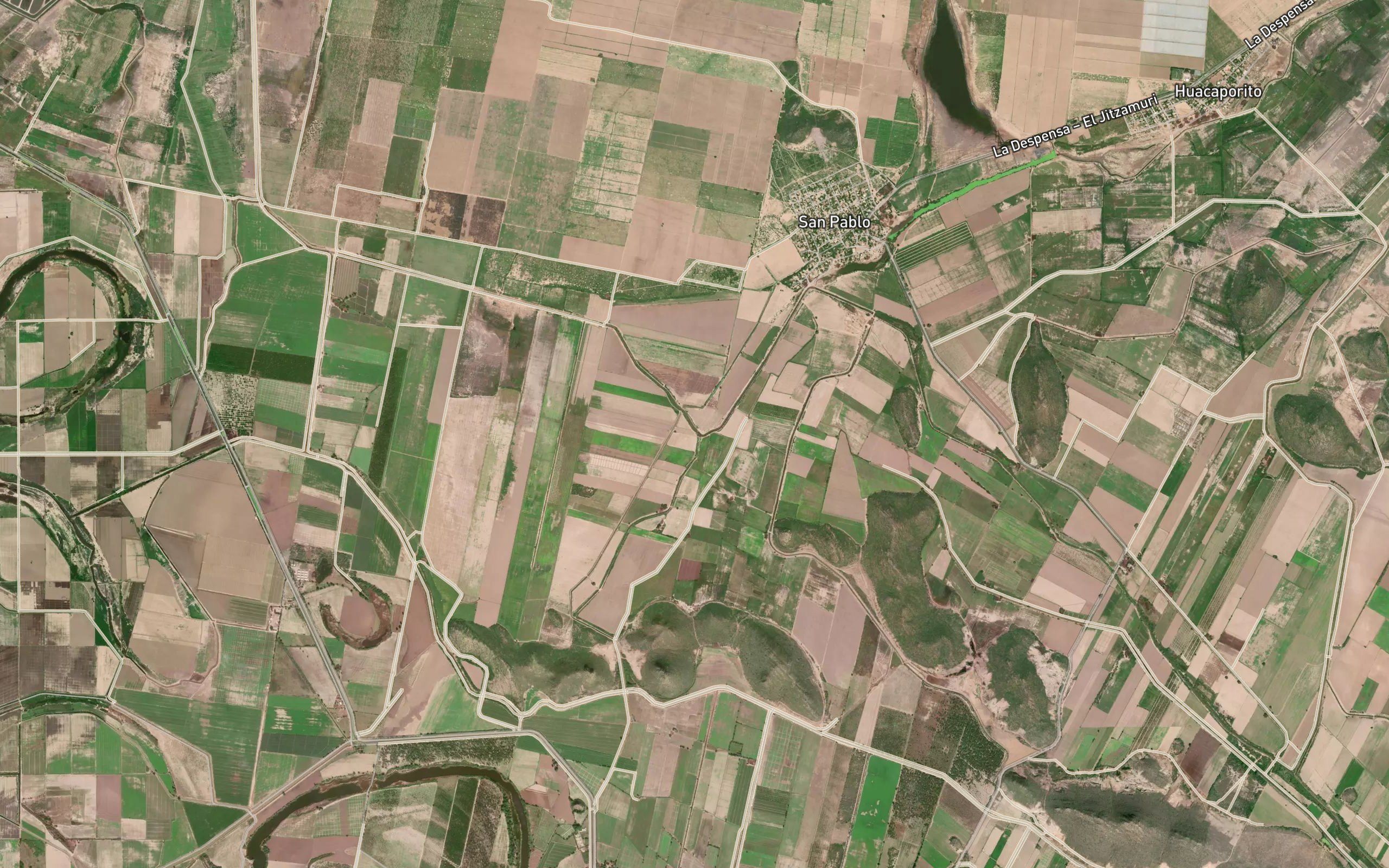 Floresta I