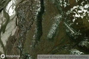 Prongs Creek