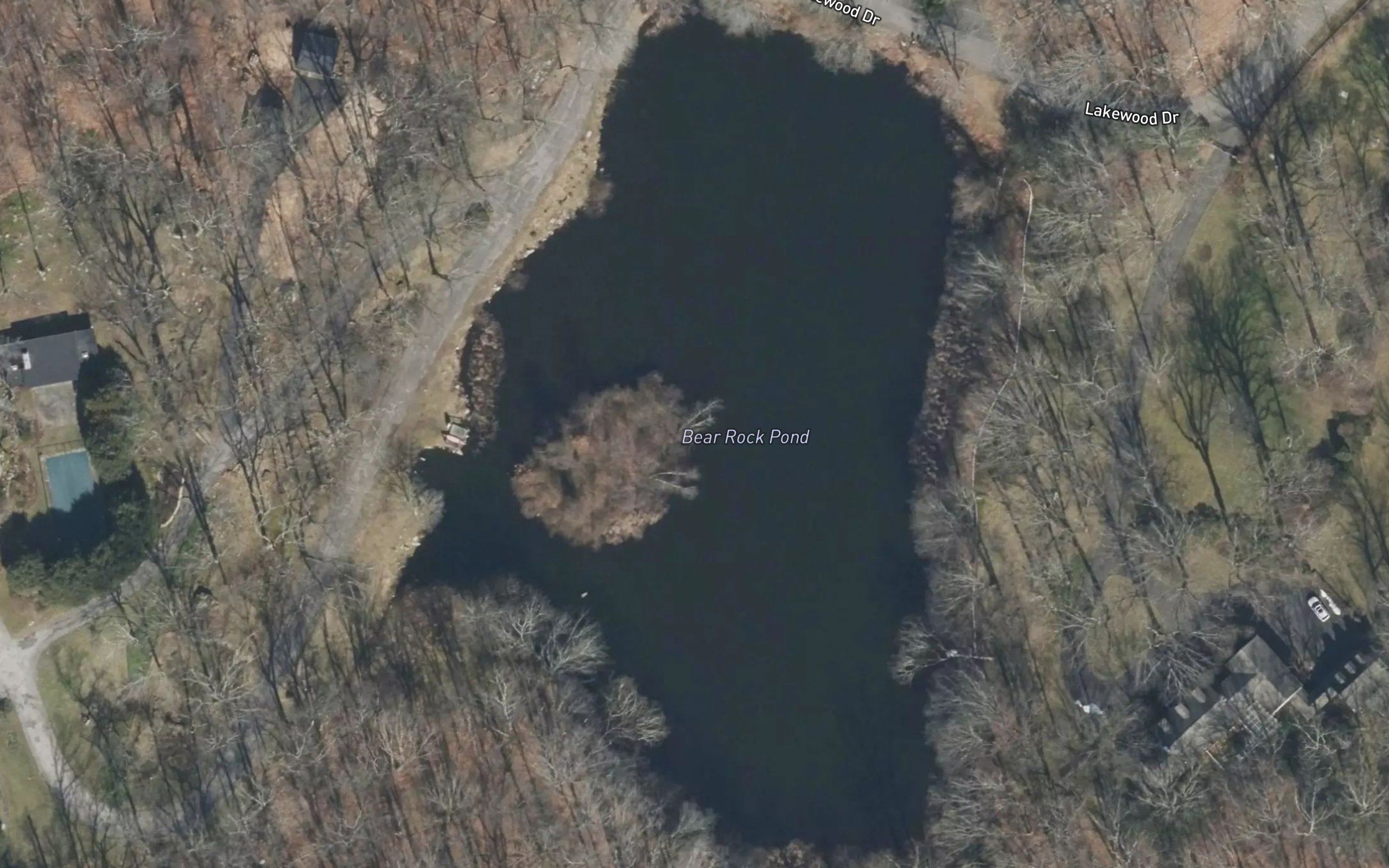 Bear Rock Pond
