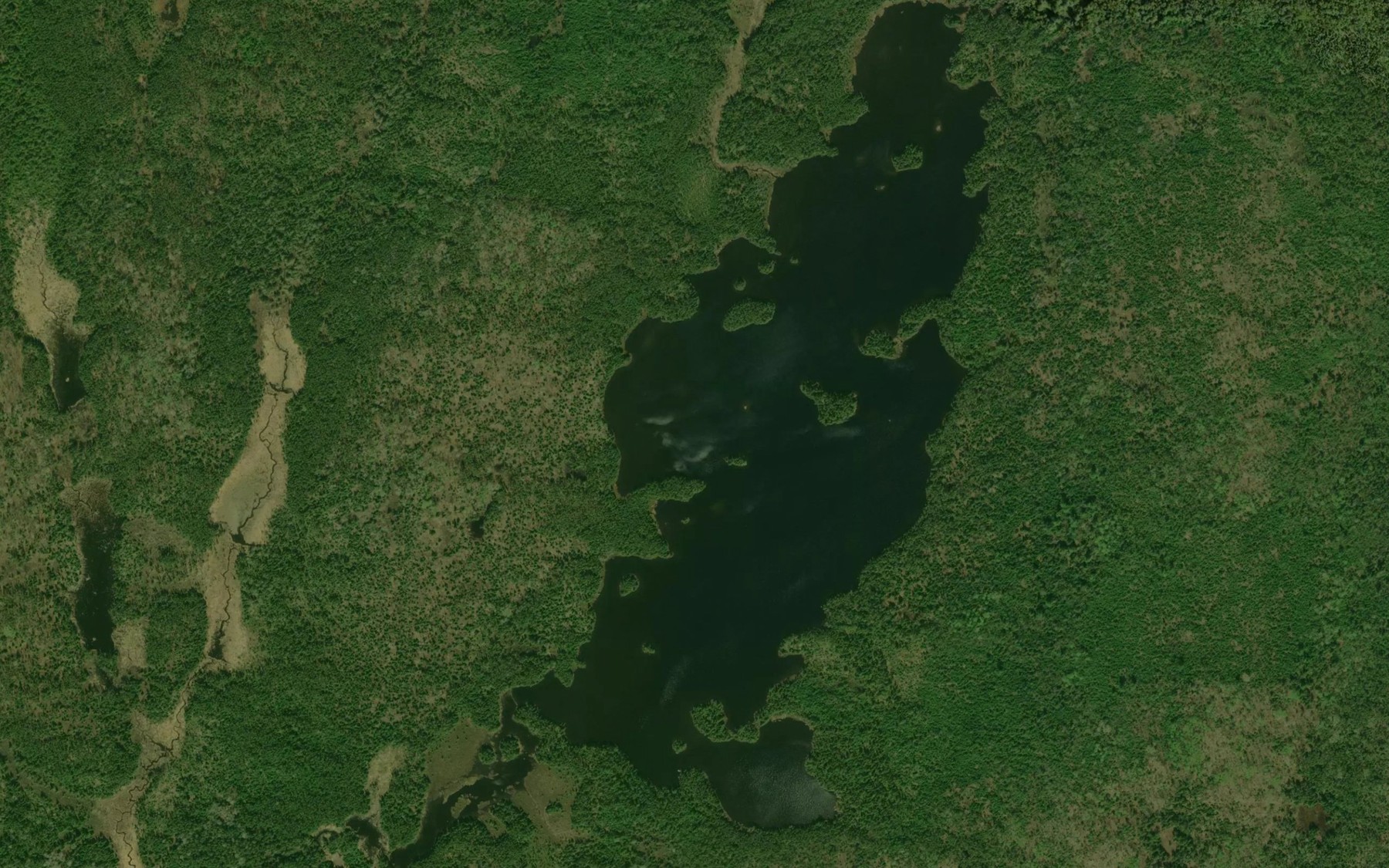 Satellite map of the Bayson Lake