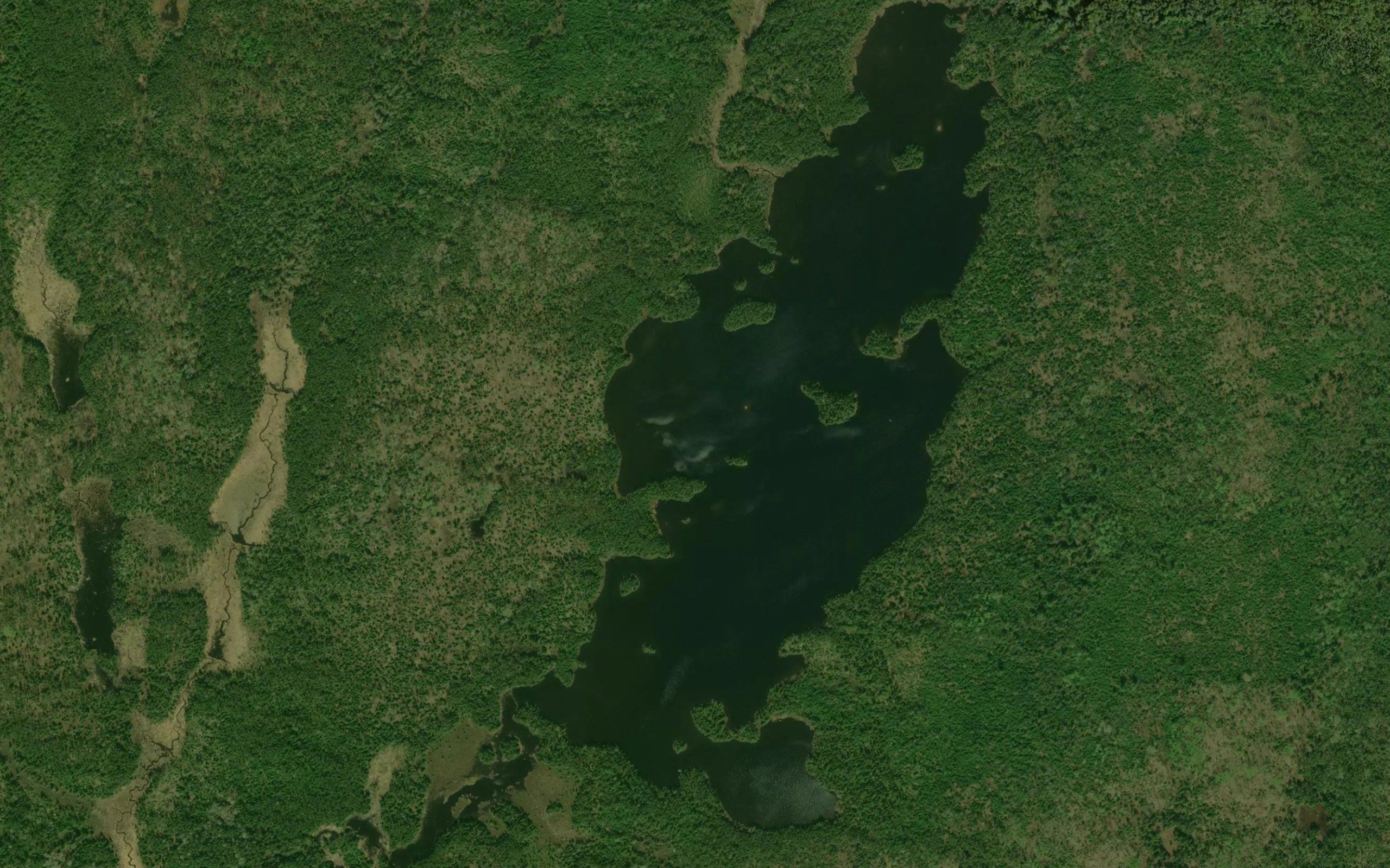Bayson Lake