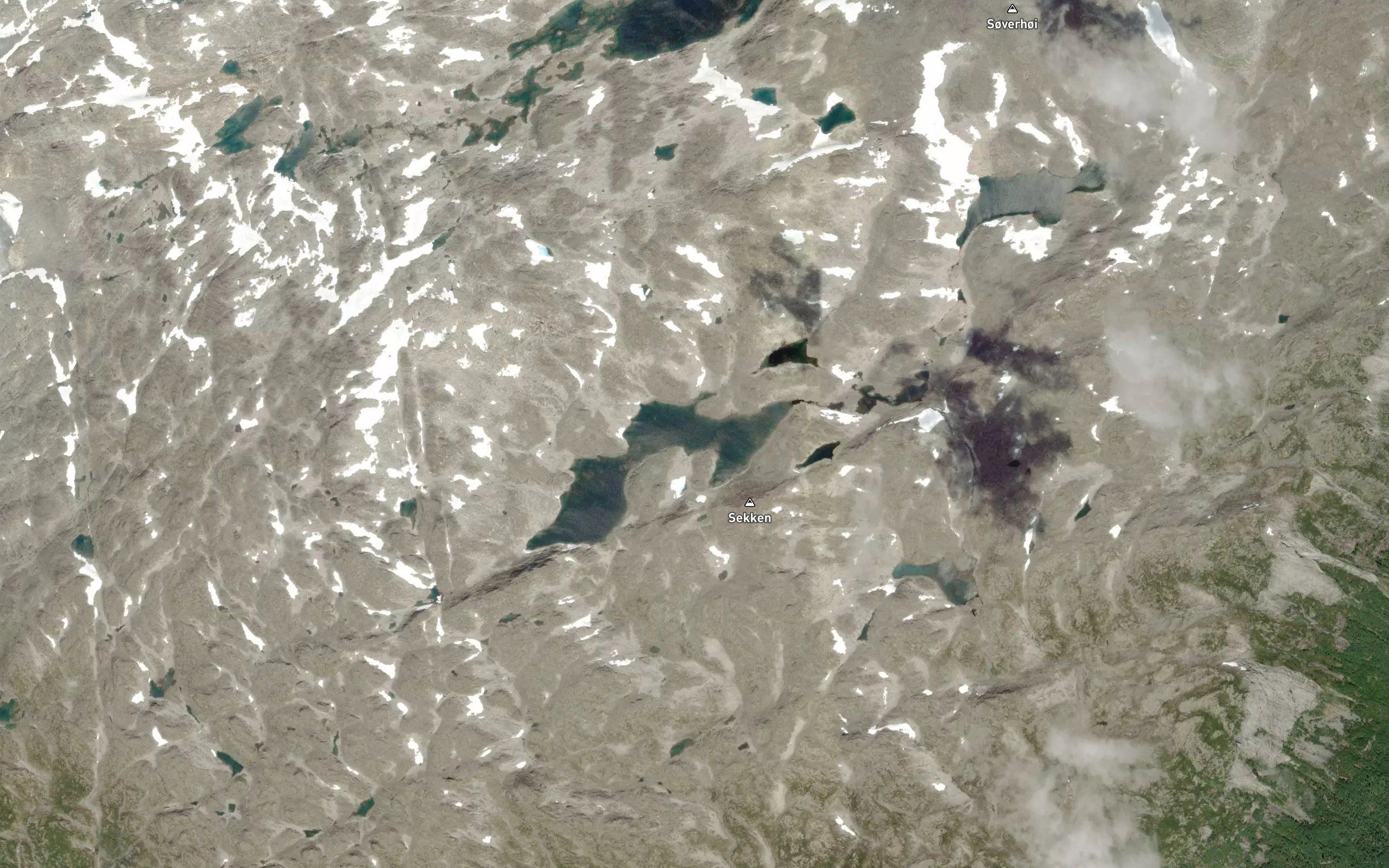 Sotgrovtjorni