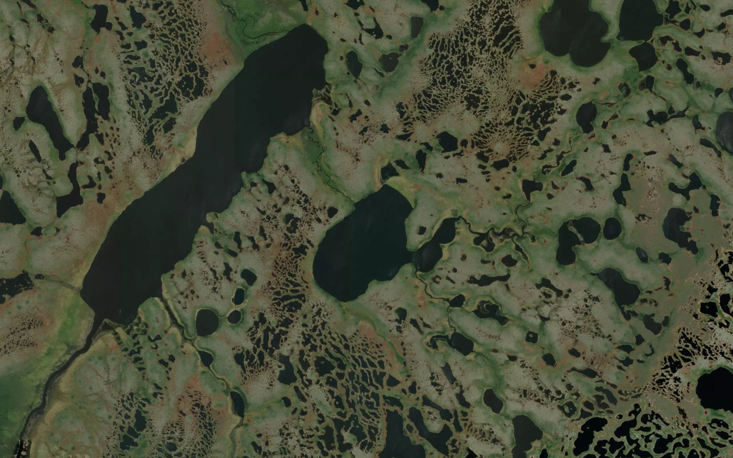 Vincent Lake