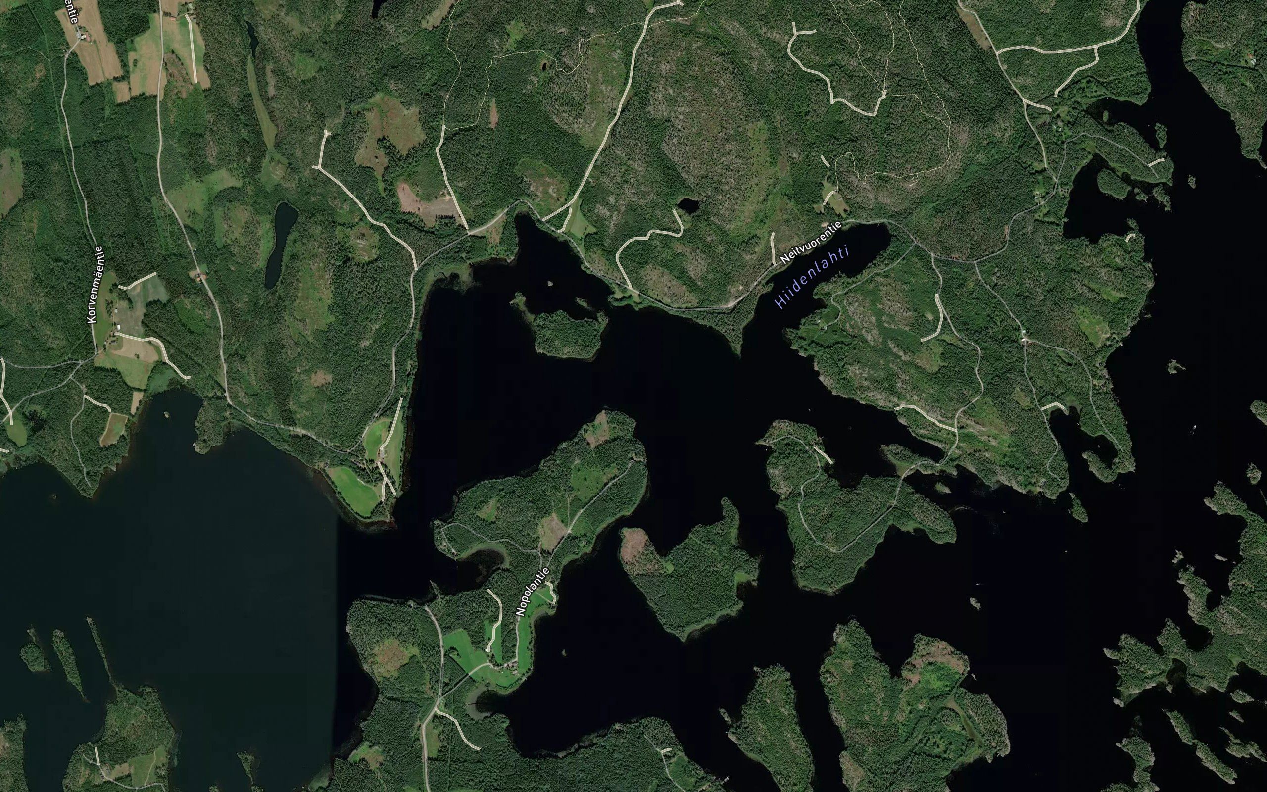 Mantyniemenselka