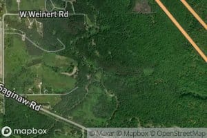 Bluff Creek