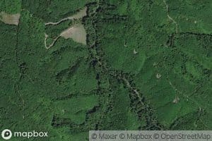 South Fork Gale Creek