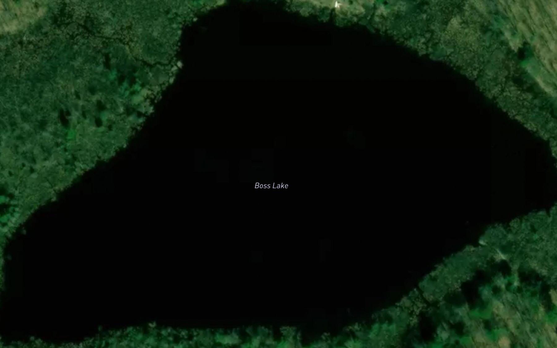 Satellite map of the Boss Lake