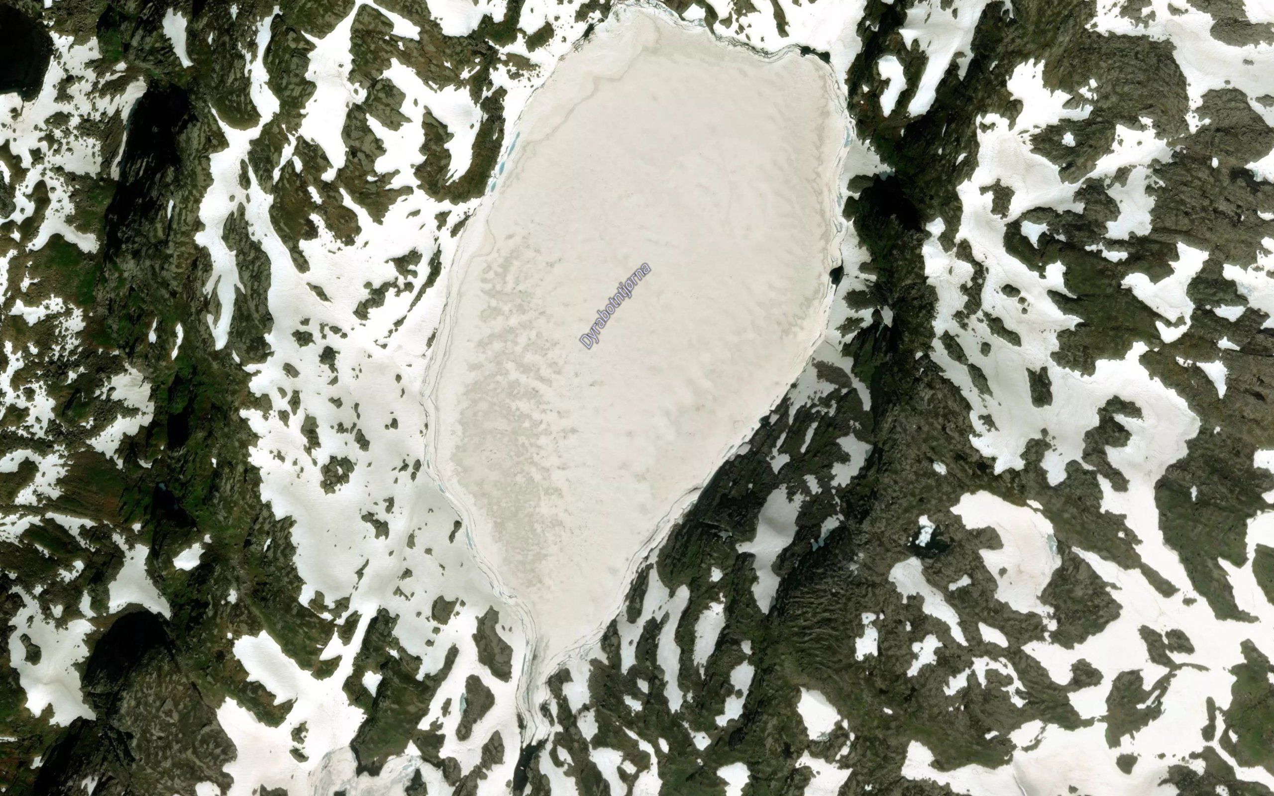 Dyrabotntjorna