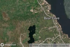 Bear Cove
