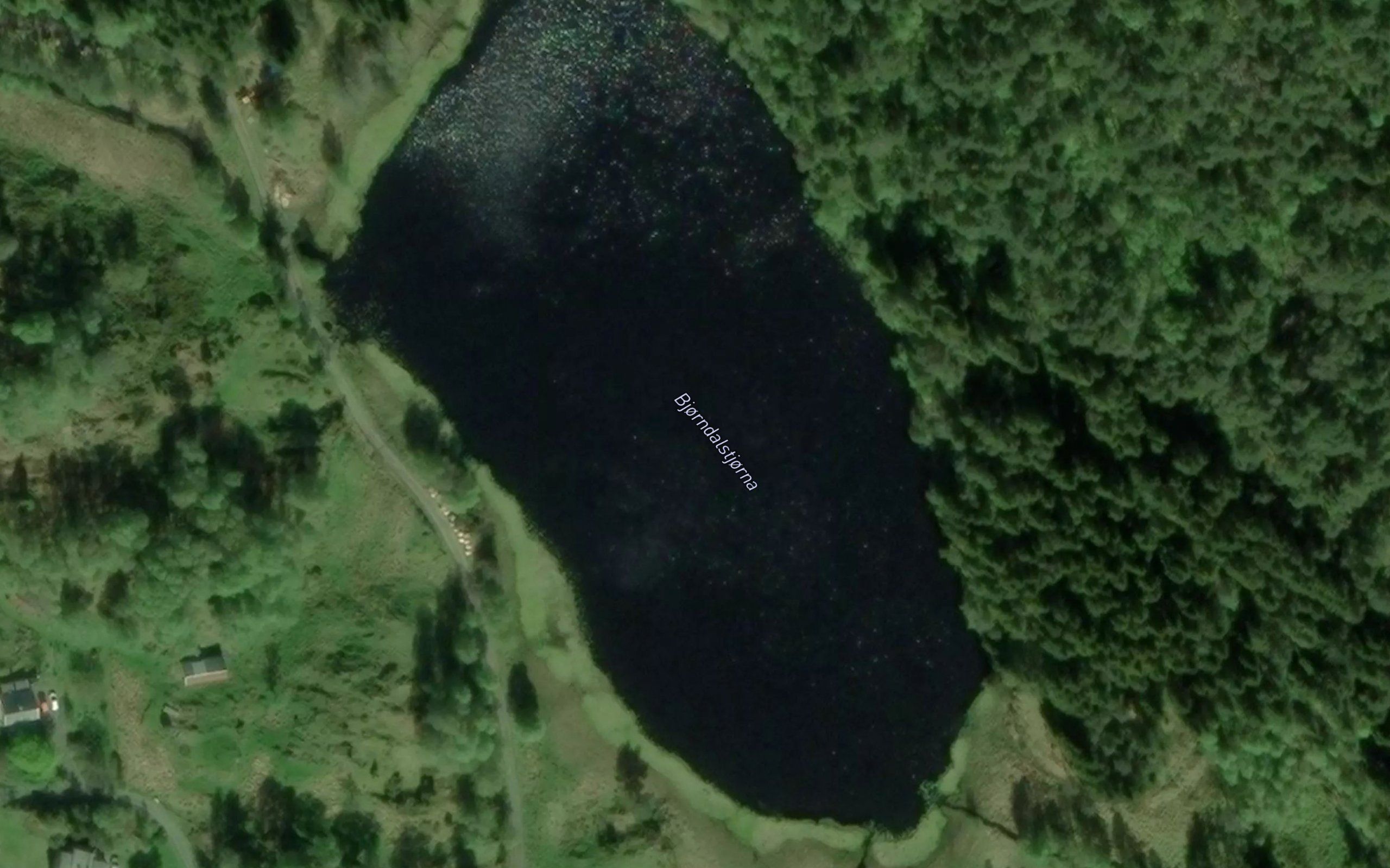 Bjorndalstjorna