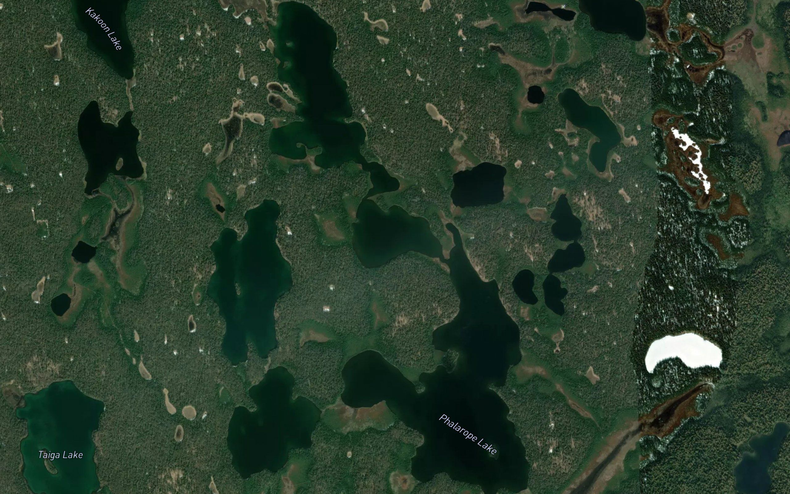 Phalarope Lake