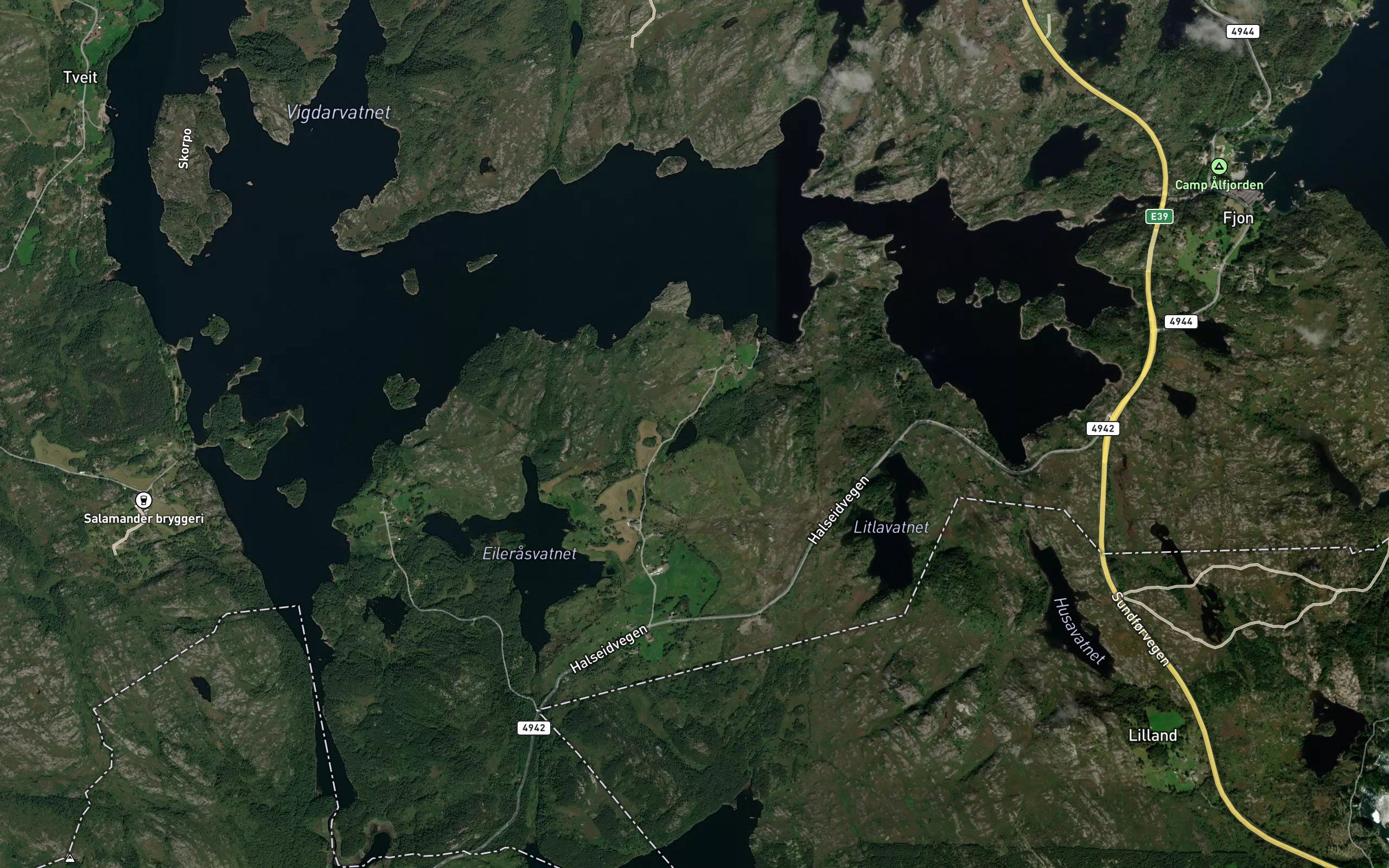 Batsviktjorna
