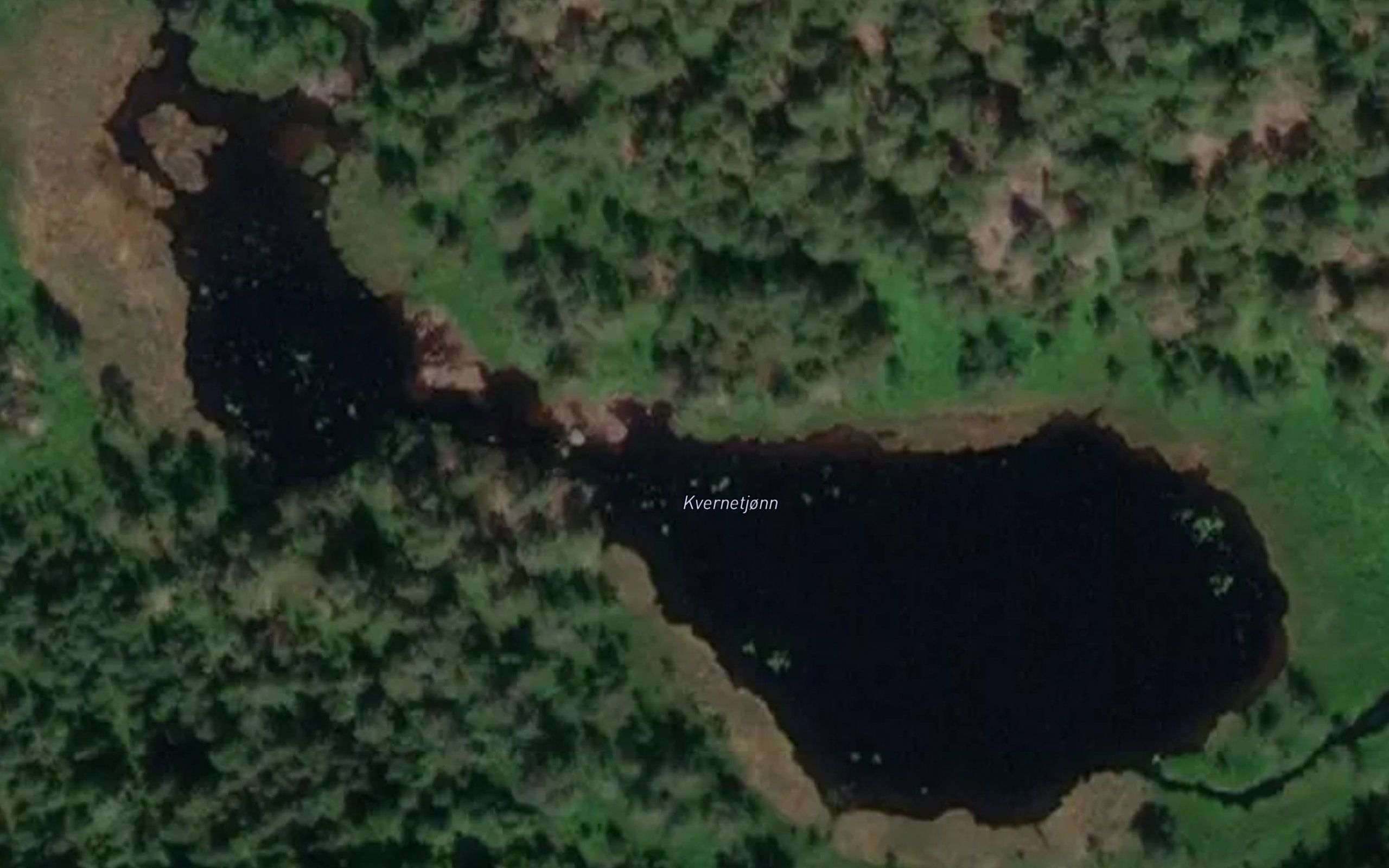 Kvernetjorn