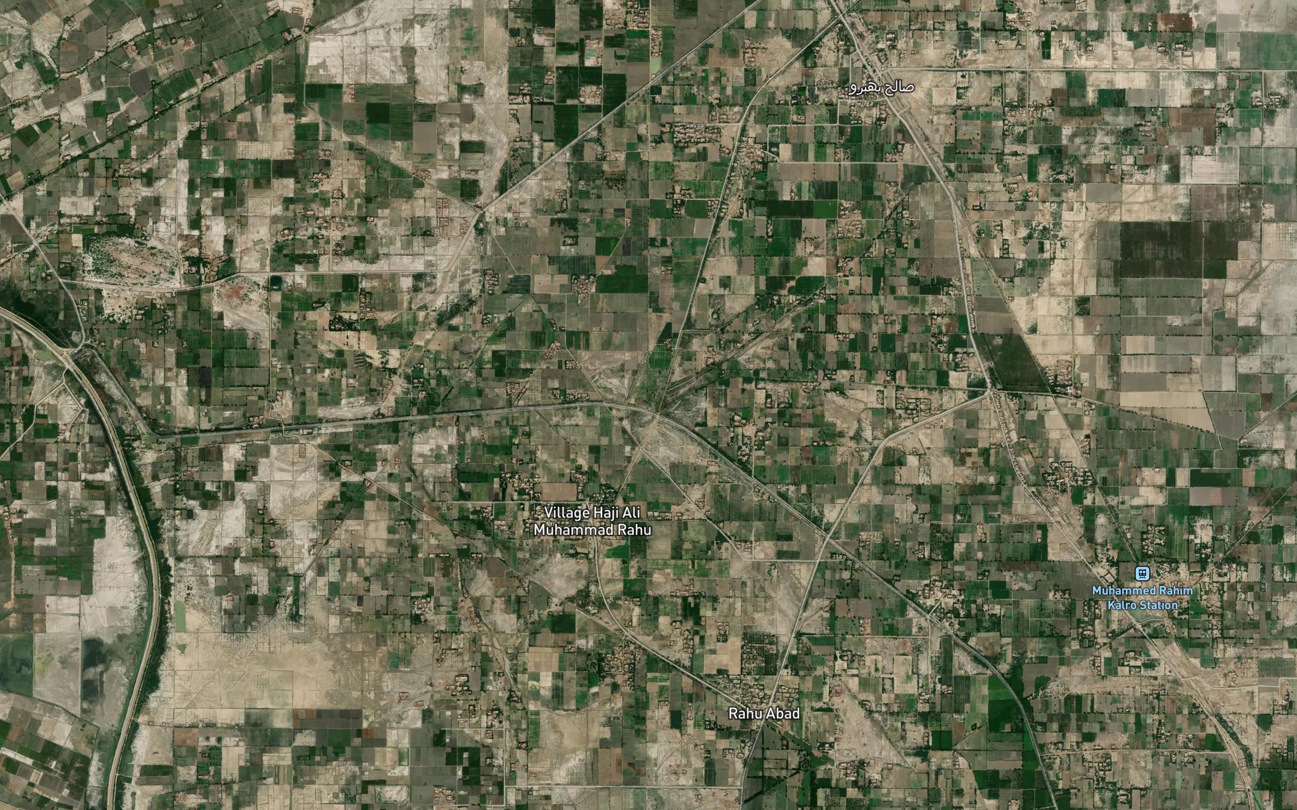 Bhambro Minor
