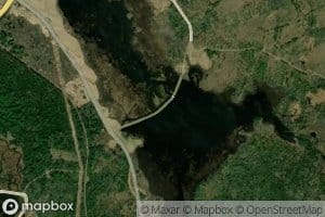 Upper Magurrewock Marsh