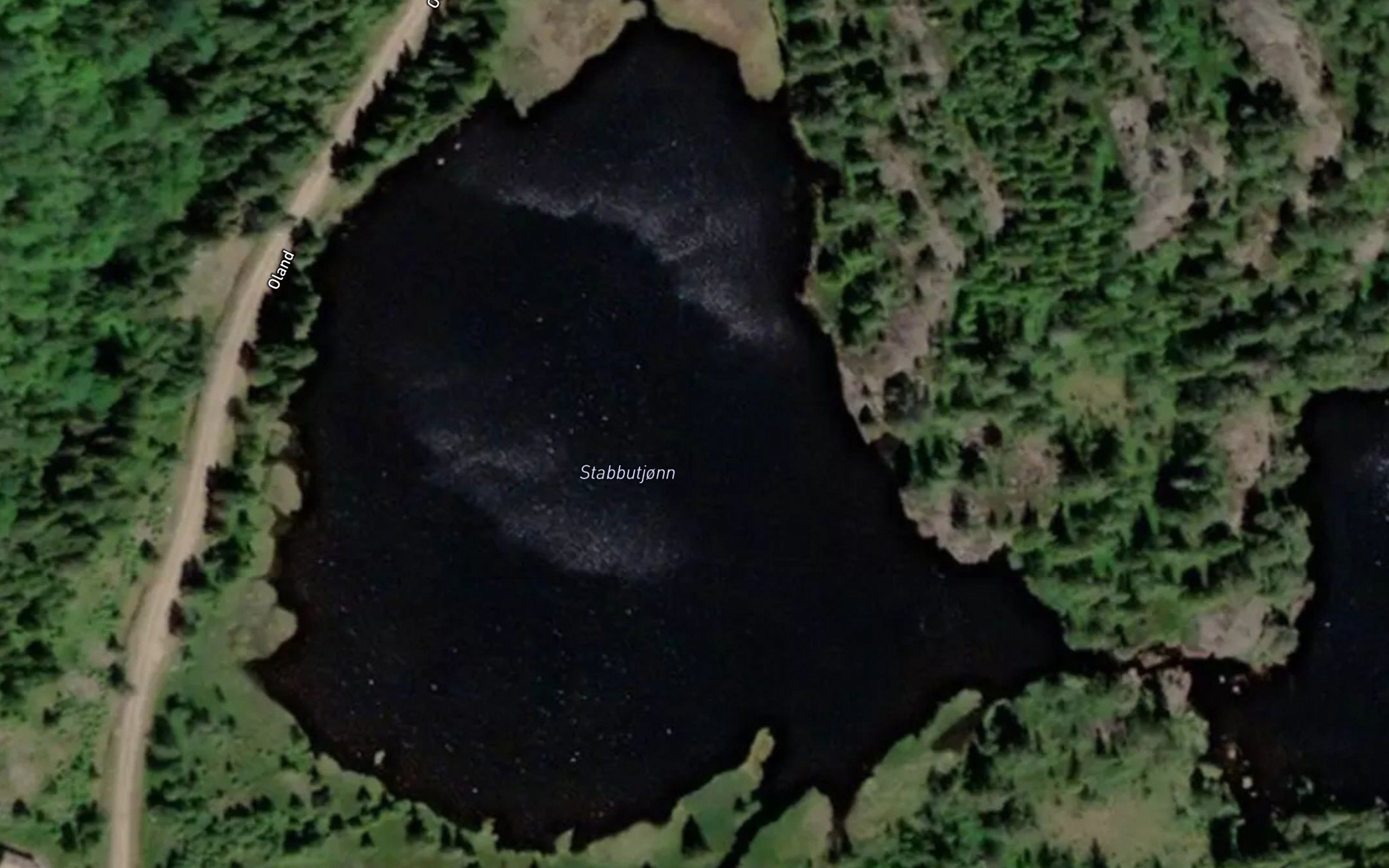 Stabbutjorn