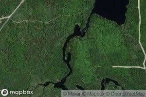 Calling Meadows Brook