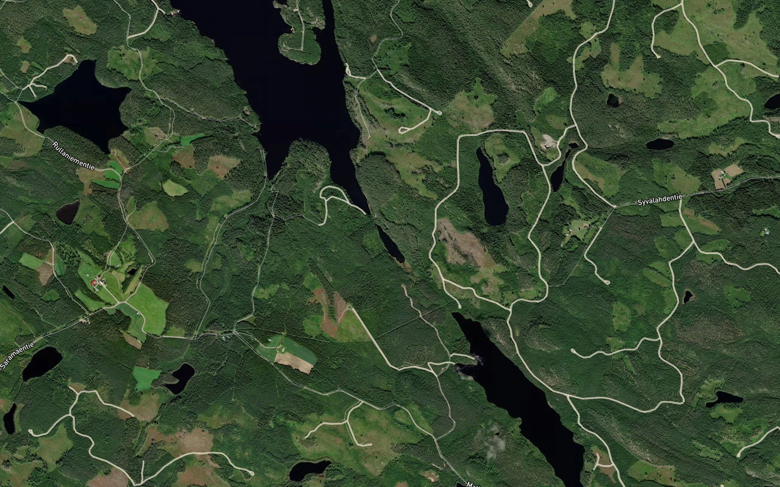 Kortelampi