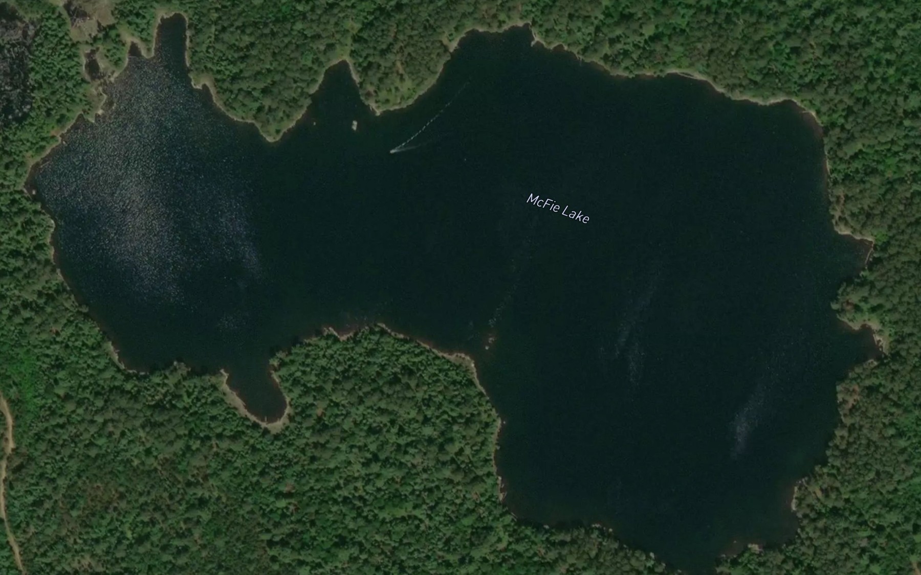 Satellite map of the McFie Lake