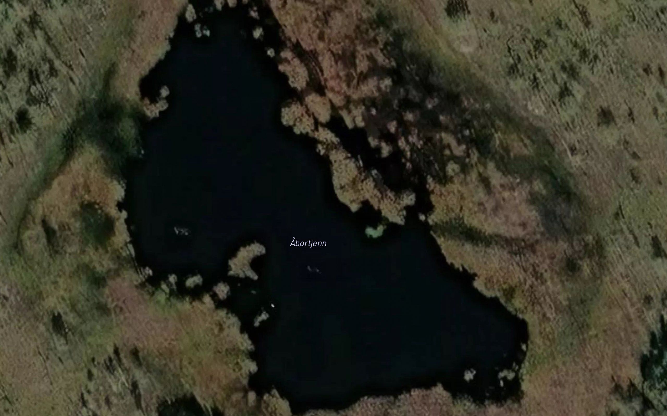 Abbortjerna