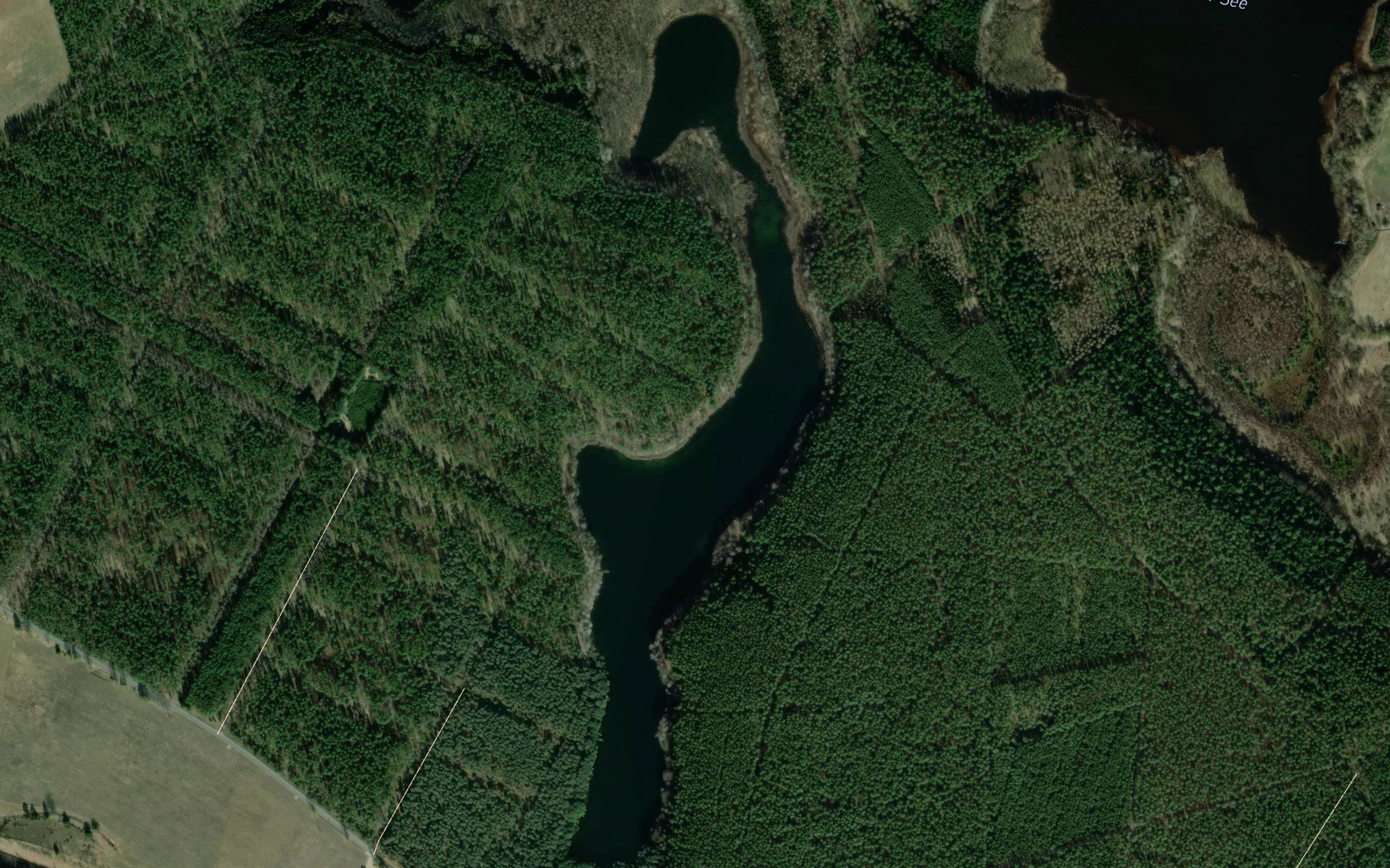 Krumme See