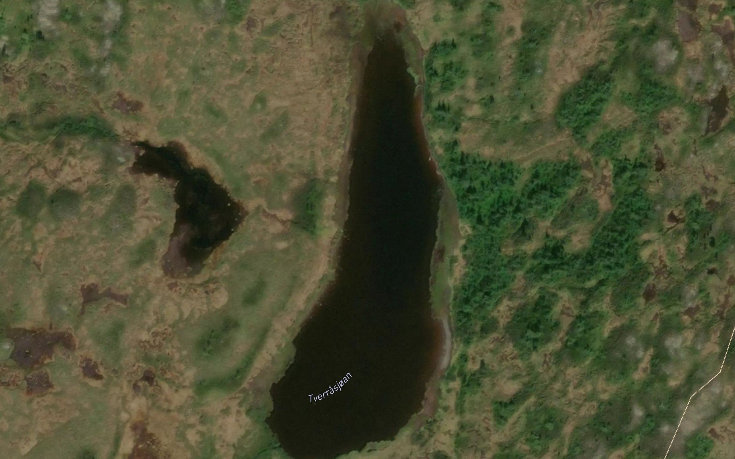 Tverrasjoan