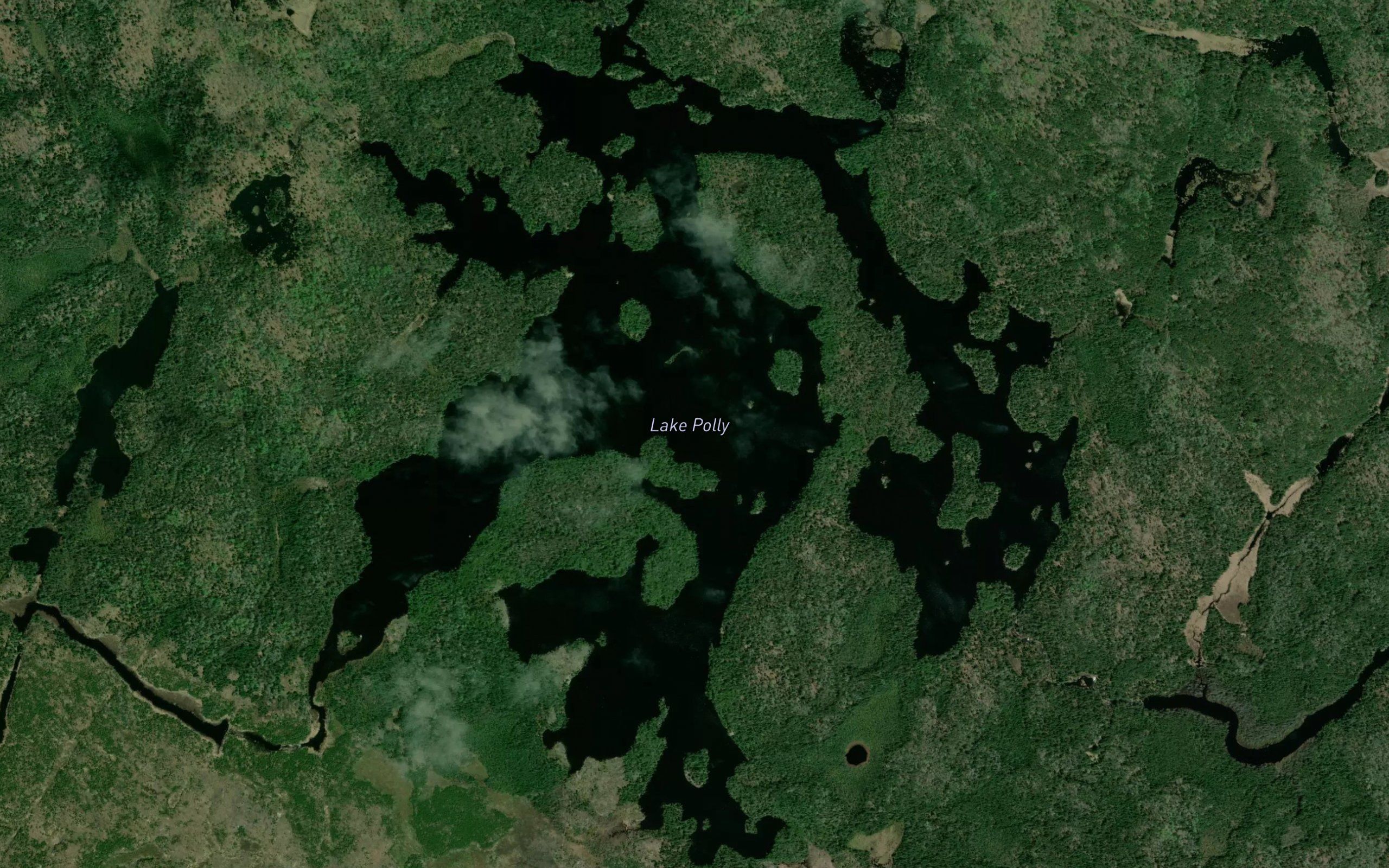 Lake Polly
