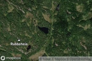 Store Gullringtjorna