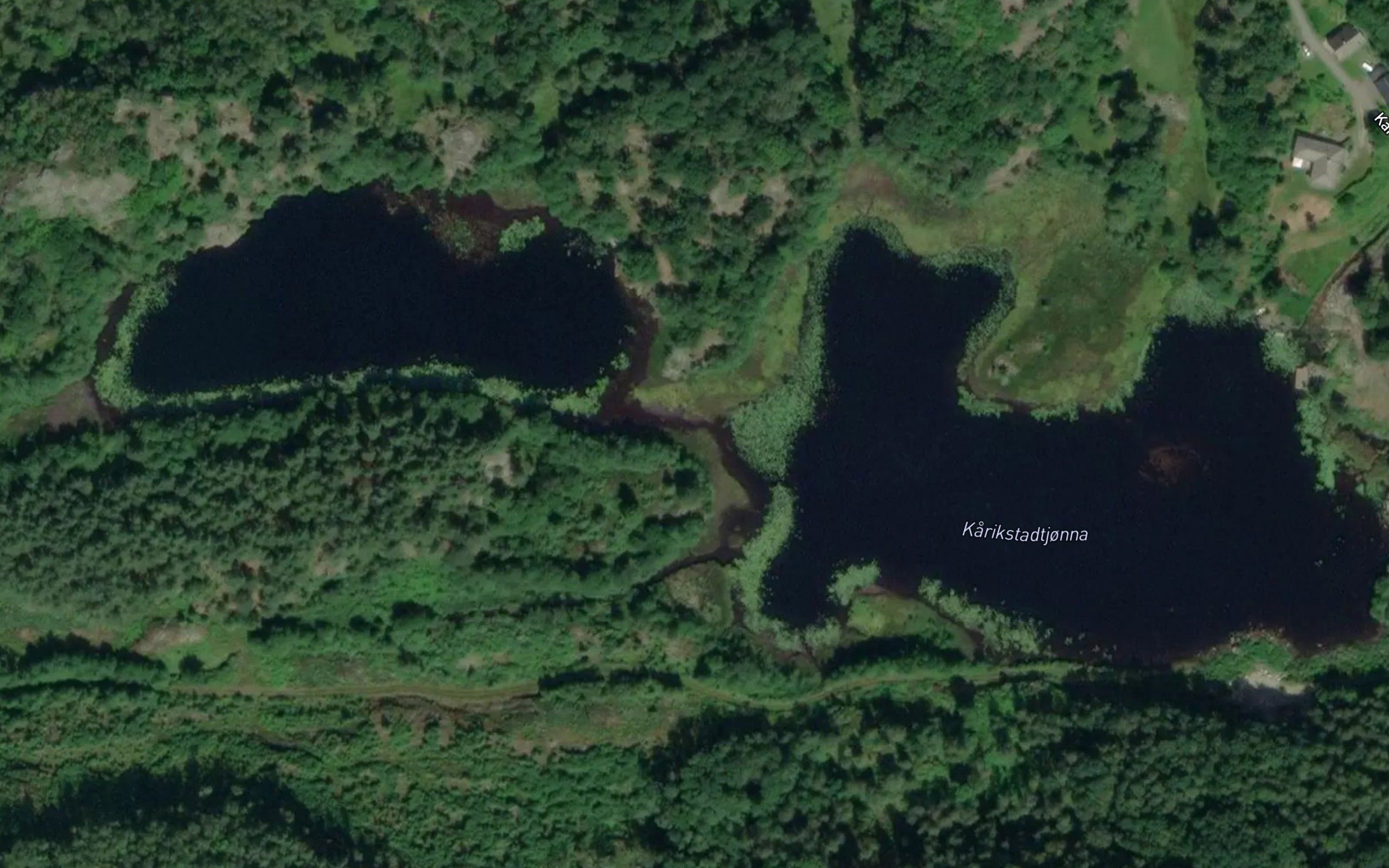 Karikstadtjonna