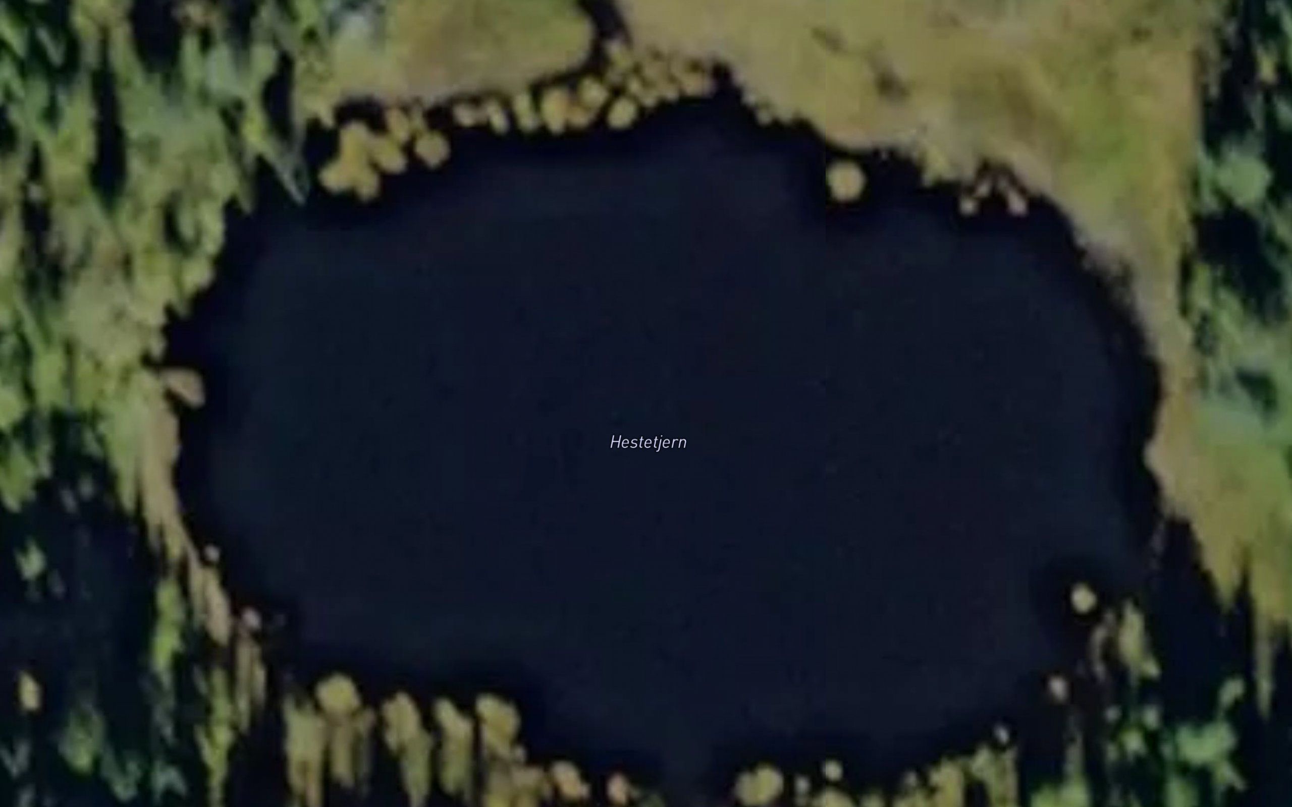 Hestetjern