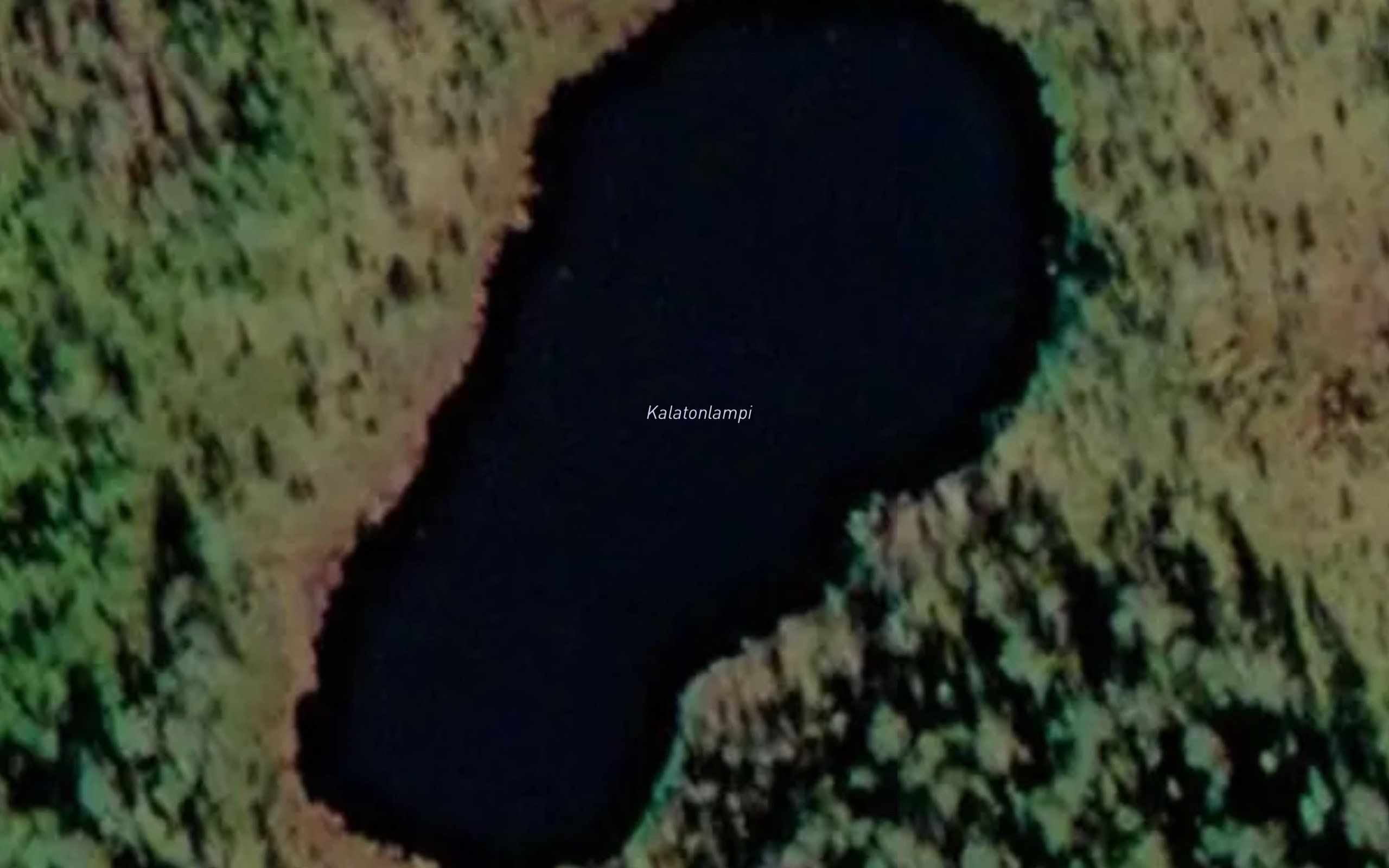 Kalatonlampi