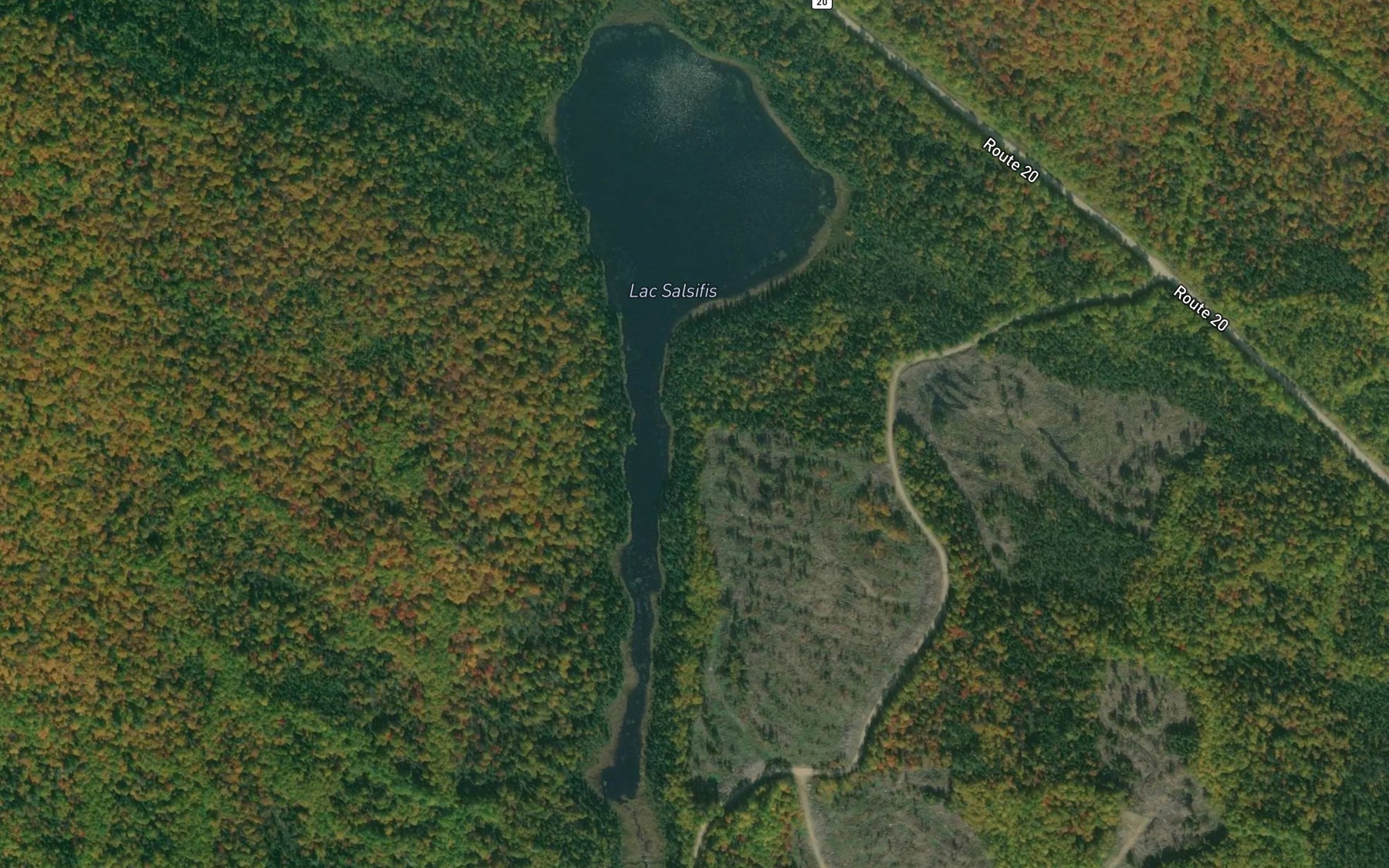 Satellite map of the Lac Salsifis