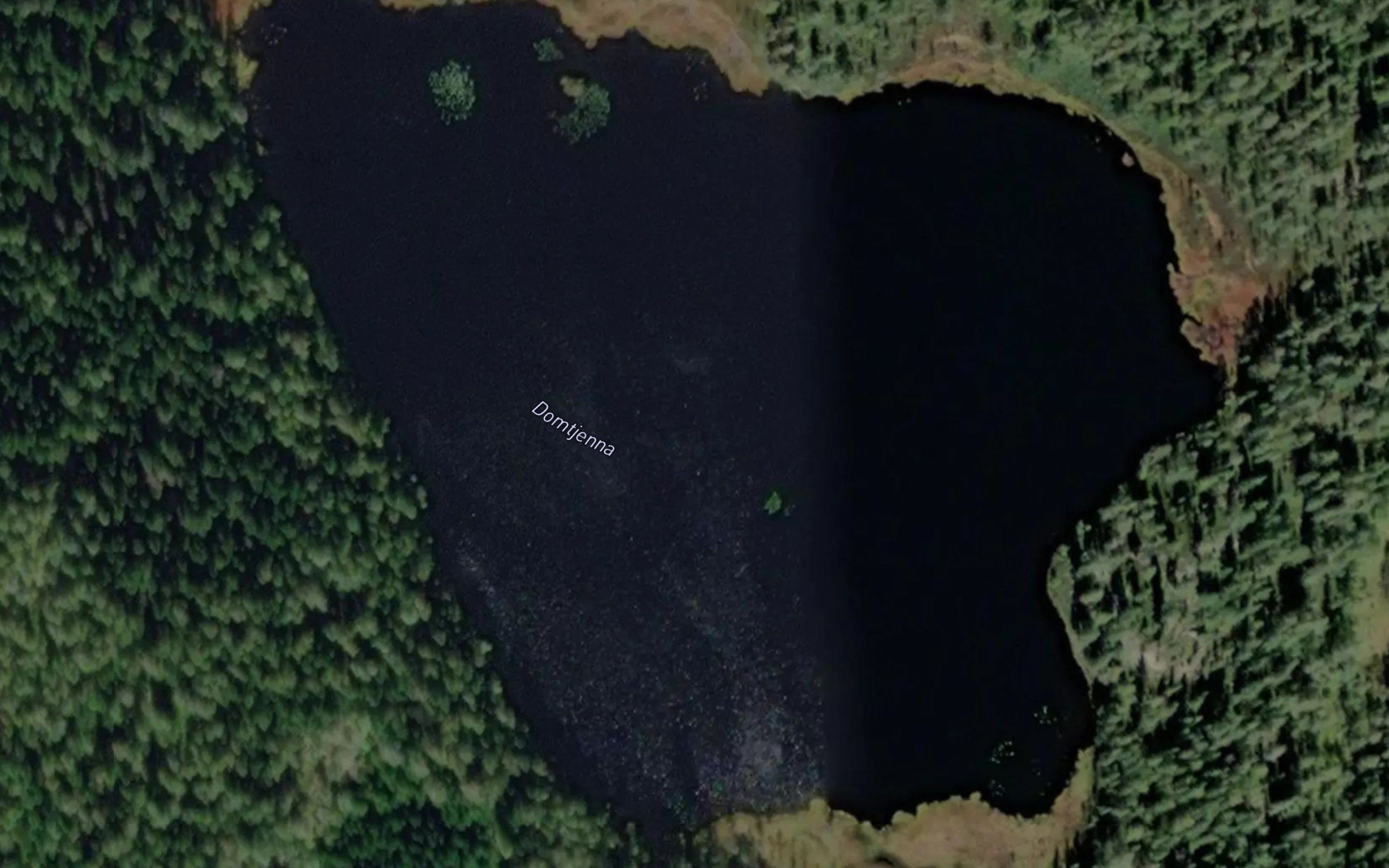 Domtjerna