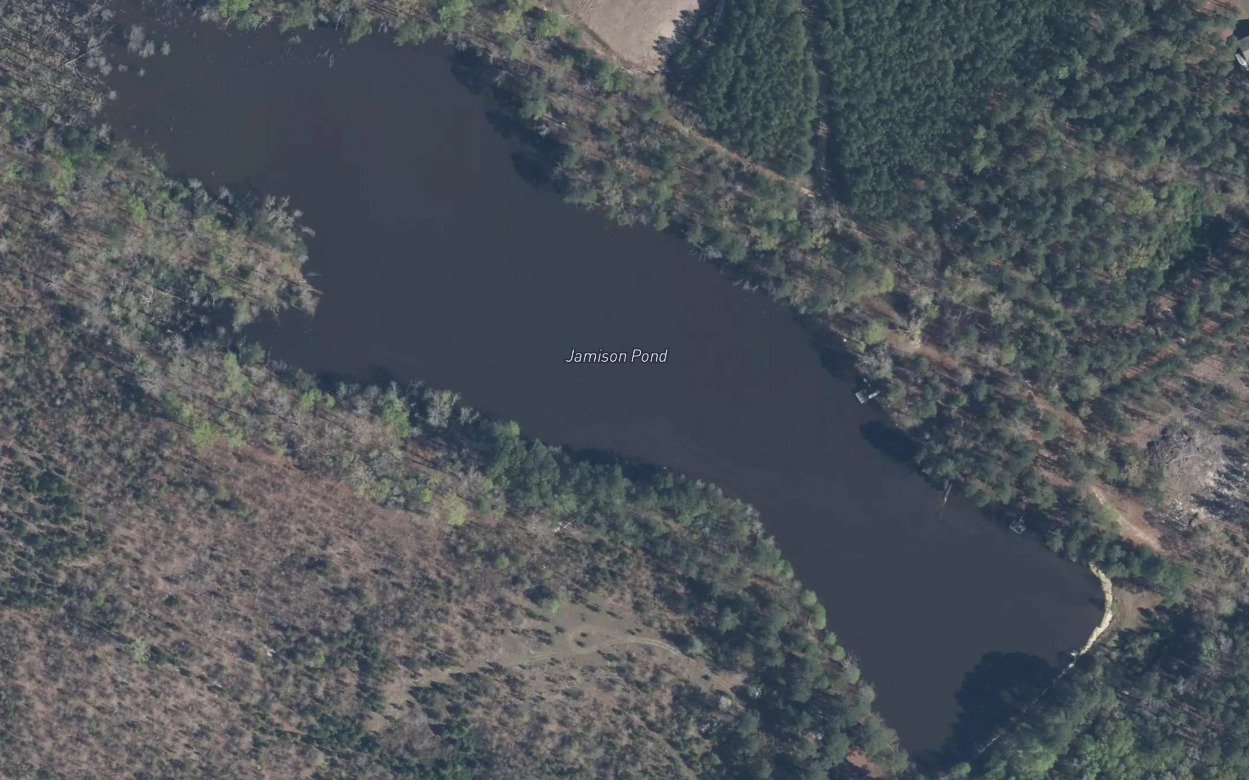Jamison Pond