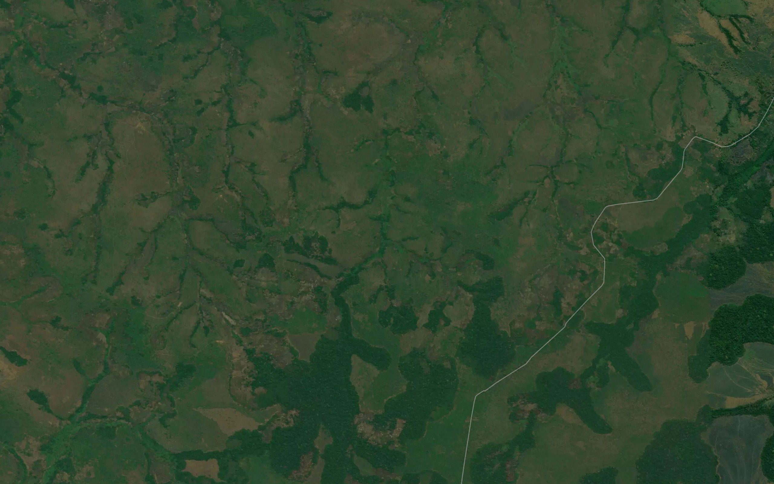 Kaondo