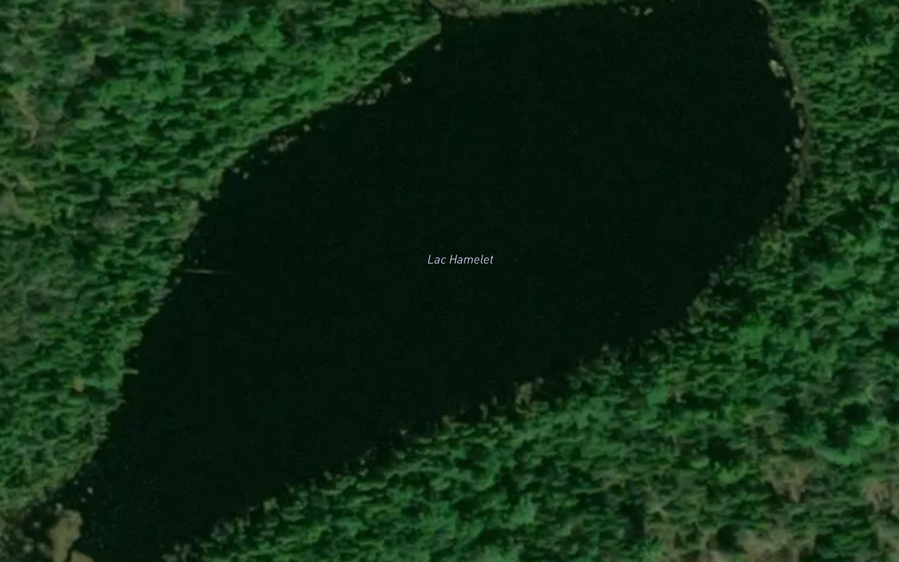 Satellite map of the Lac Hamelet