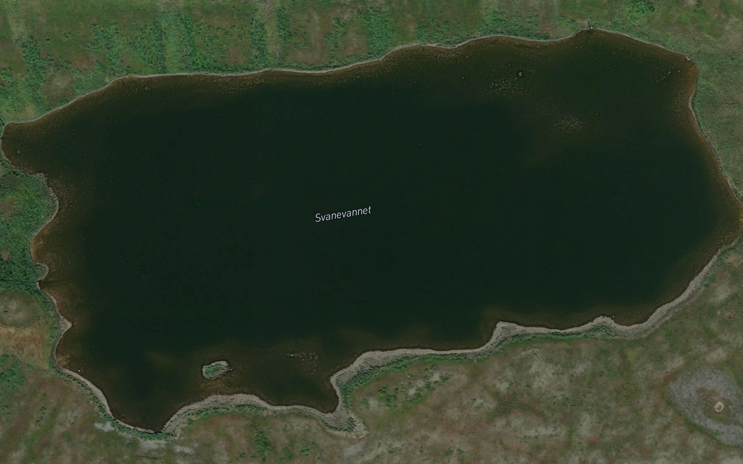 Svanevannet