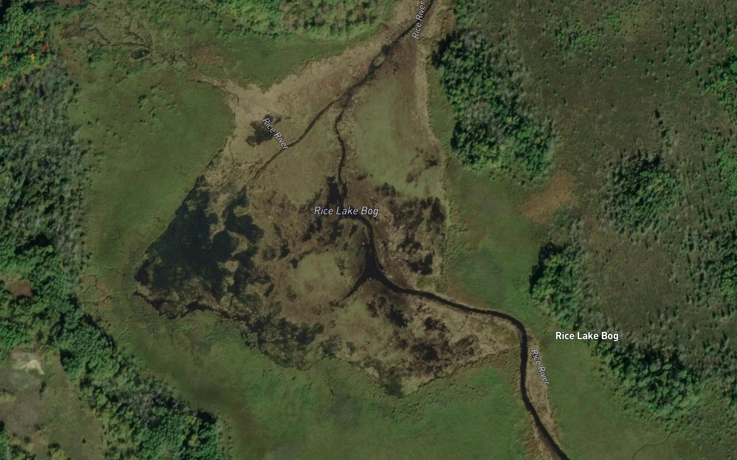 Rice Lake Bog